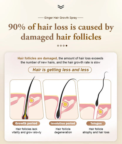 PURC Fast Ginger Hair Growth Spray,